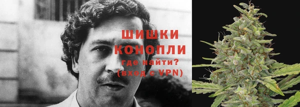 мяу мяу мука Белокуриха
