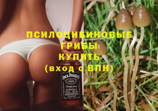 spice Богородицк