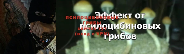 трава Белоозёрский