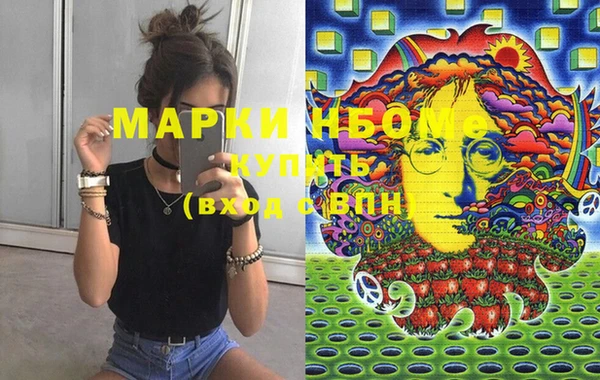 spice Богородицк