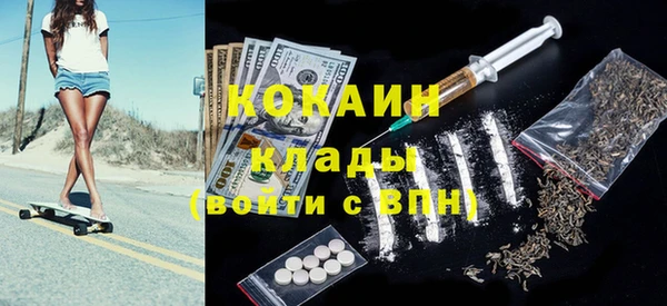 spice Богородицк