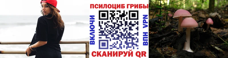наркошоп  Благодарный  Псилоцибиновые грибы GOLDEN TEACHER 